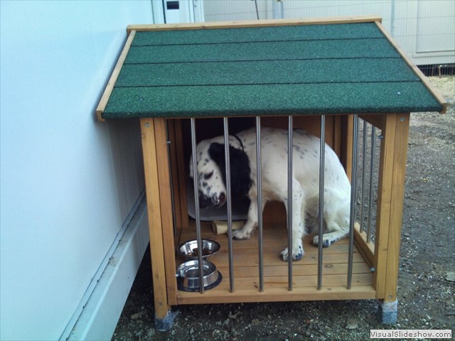 2/11/11 I had lunch on the veranda today.