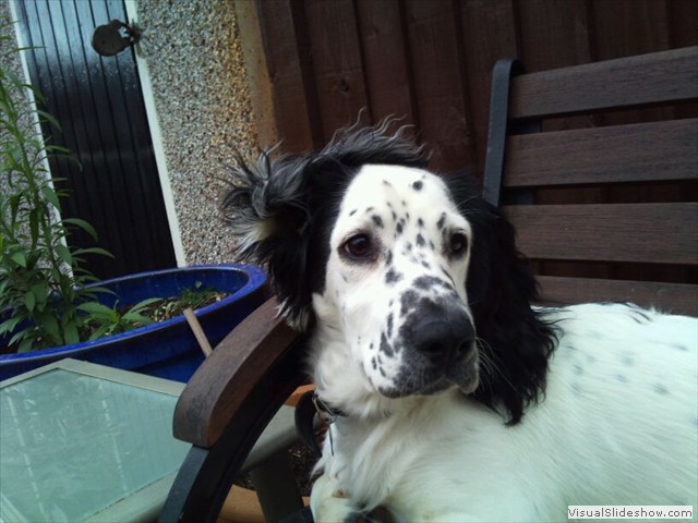 30/10/11 Practising my comb over