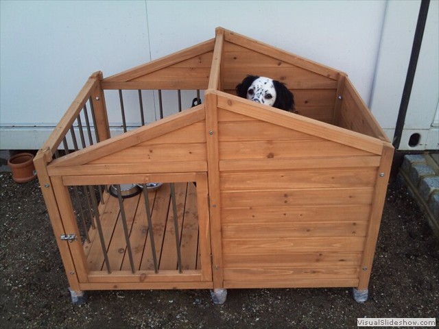 1/11/11 This new house is a bit draughty