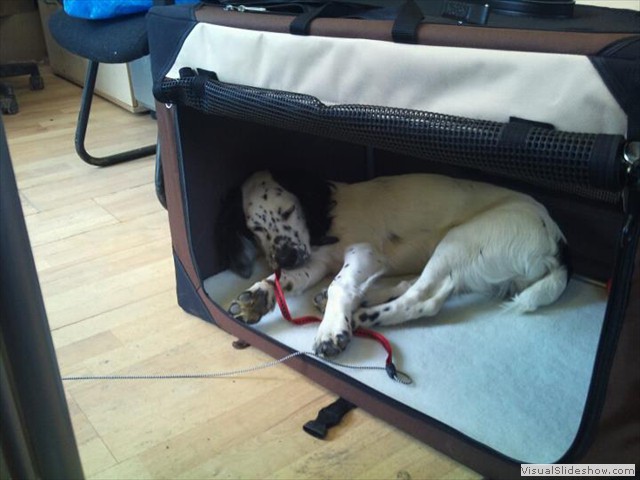 30/8/11 Hard at work