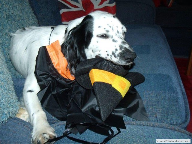 1/11/11 I am cute enough, I don't need a Halloween outfit