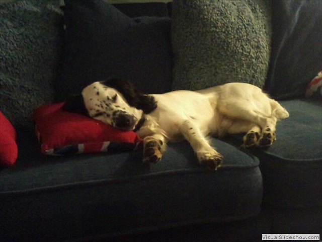 9/11/11 Who are you calling couch potato?