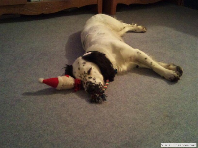 25/12/11 Thanks for the toy gran. It is broken but still works as a pillow.