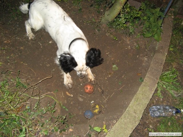 30/11/11 I dug the garden for you dad and now have a handy place to store my toys