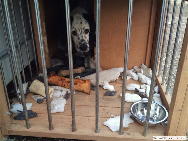 24/11/11 My house was clean last week but you missed it.