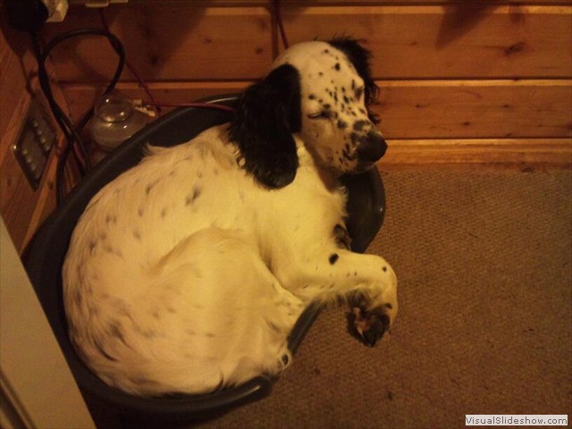 28/11/11 This is what I look like after three hours of walkies in one day