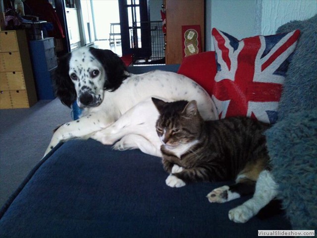 30/12/11 Do you mind, we are trying to sleep.