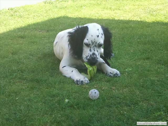 3/9/11 Mmm watermelon is yummy