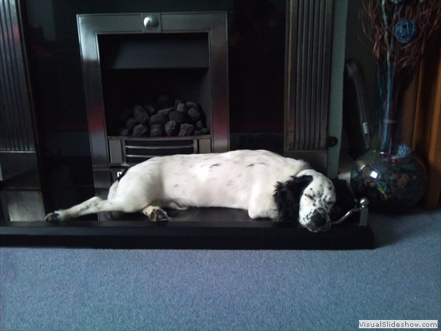 24/9/11 Home is where the hearth is