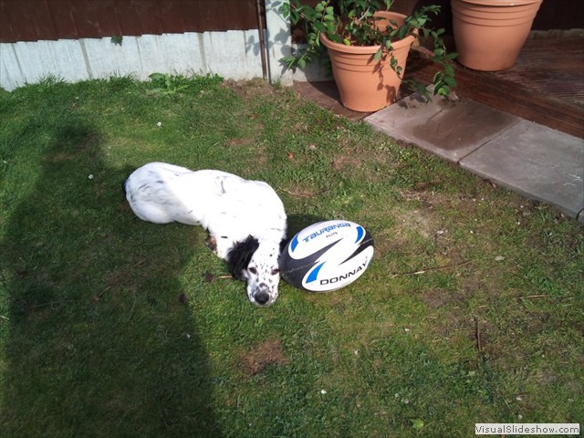 25/9/11 A Wilson tradition