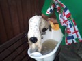 24/9/11 Bathtime 3