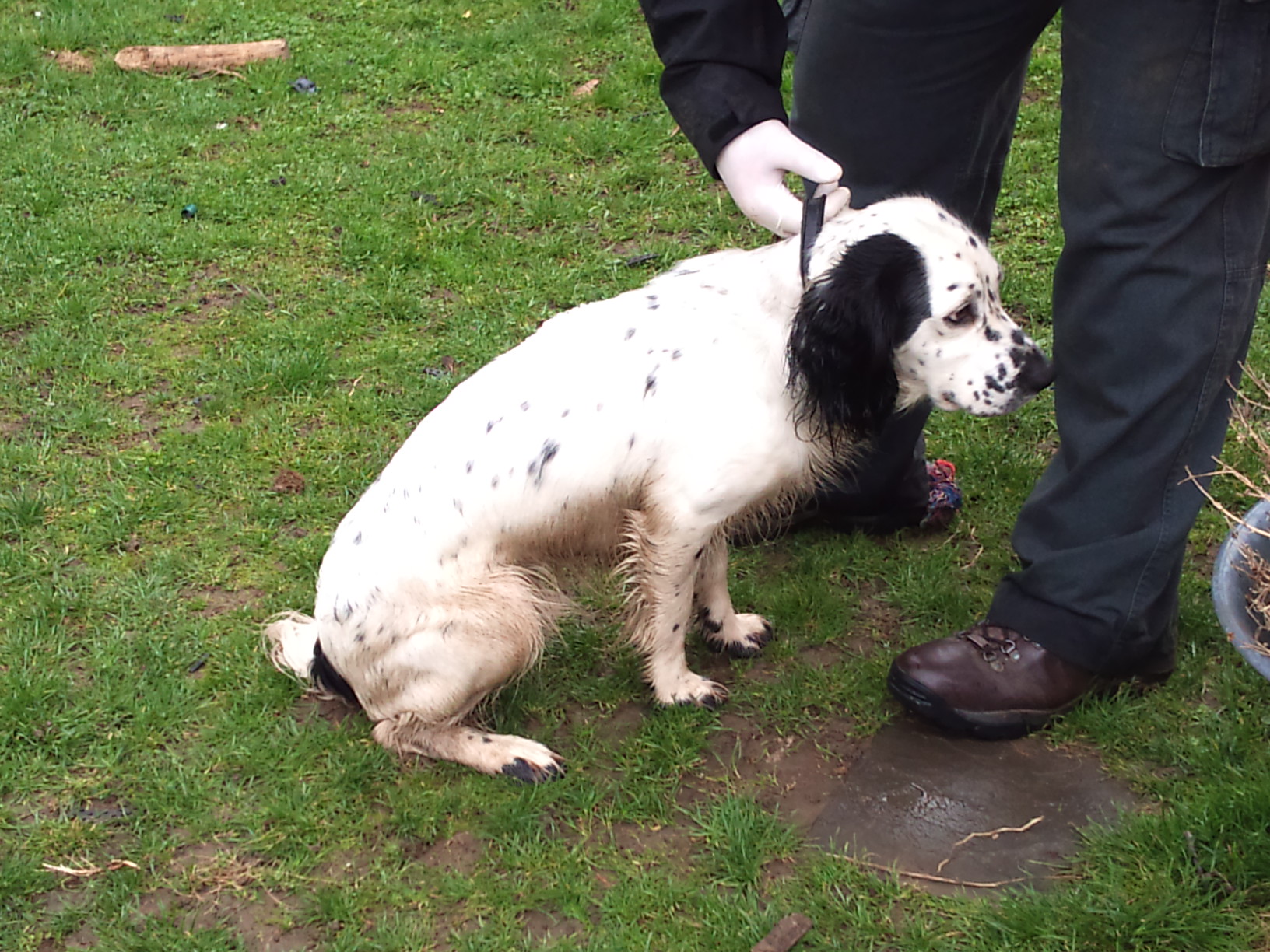 17/3/12 Am I that dirty you need rubber gloves?