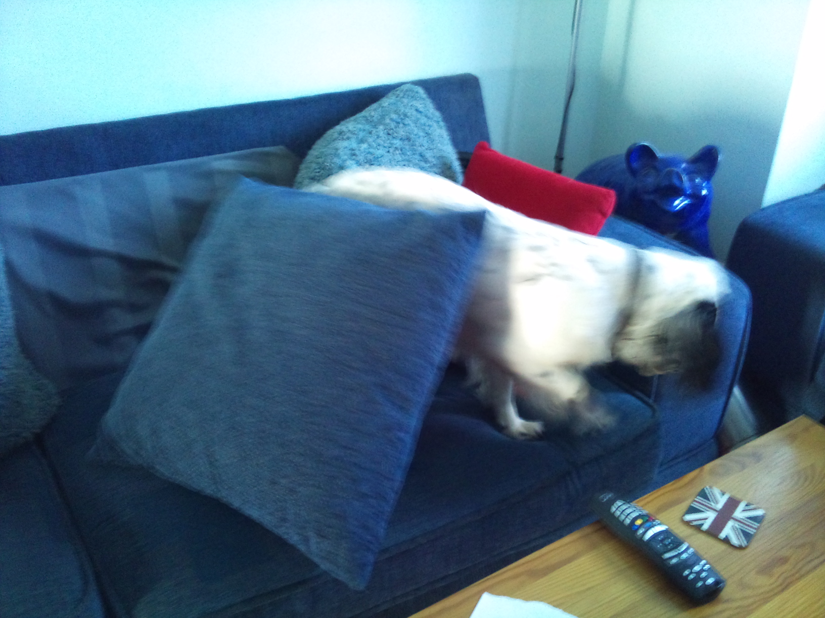 18/3/12 I just can't get comfy