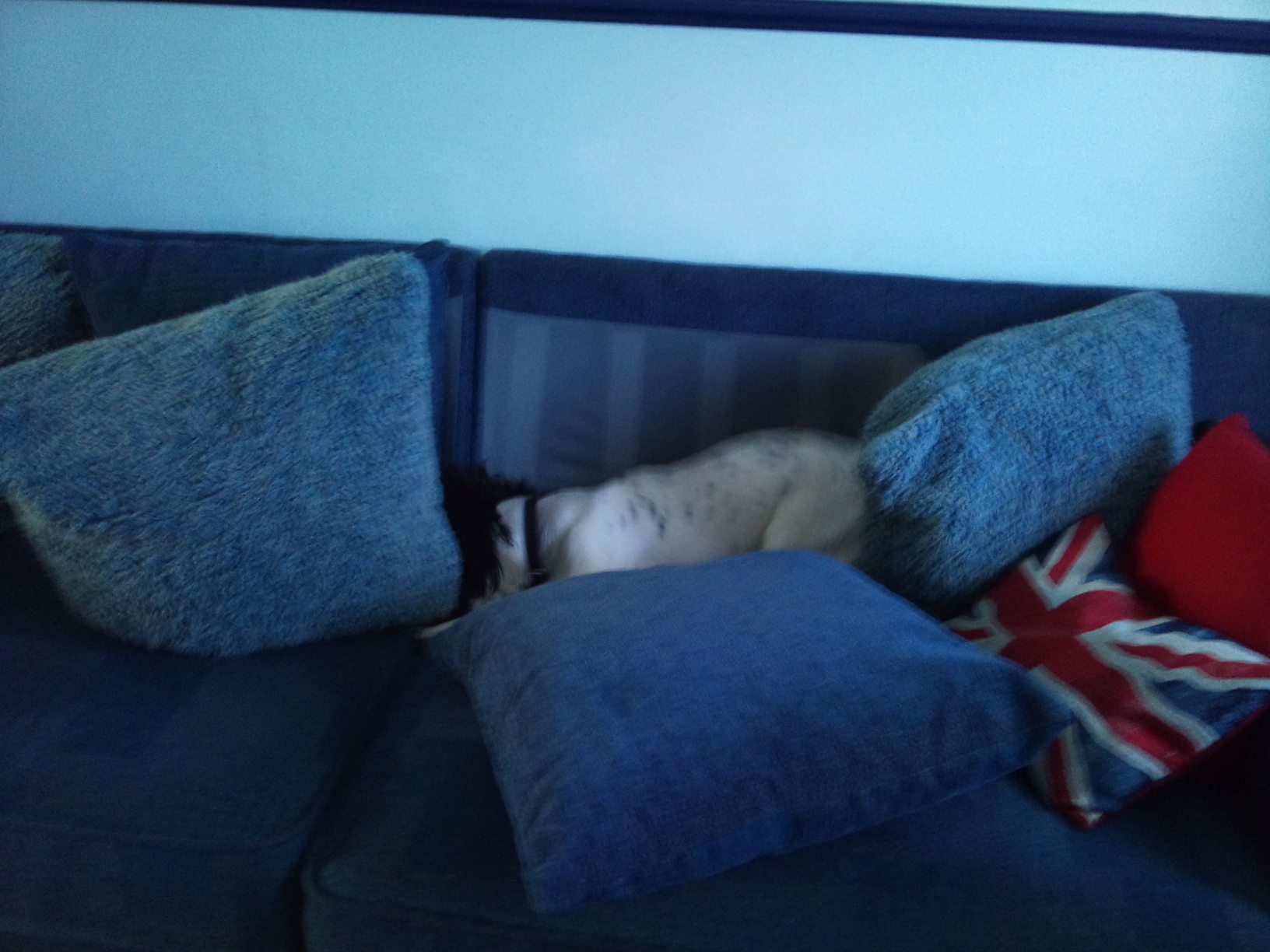 18/3/12 Almost arranged to my taste