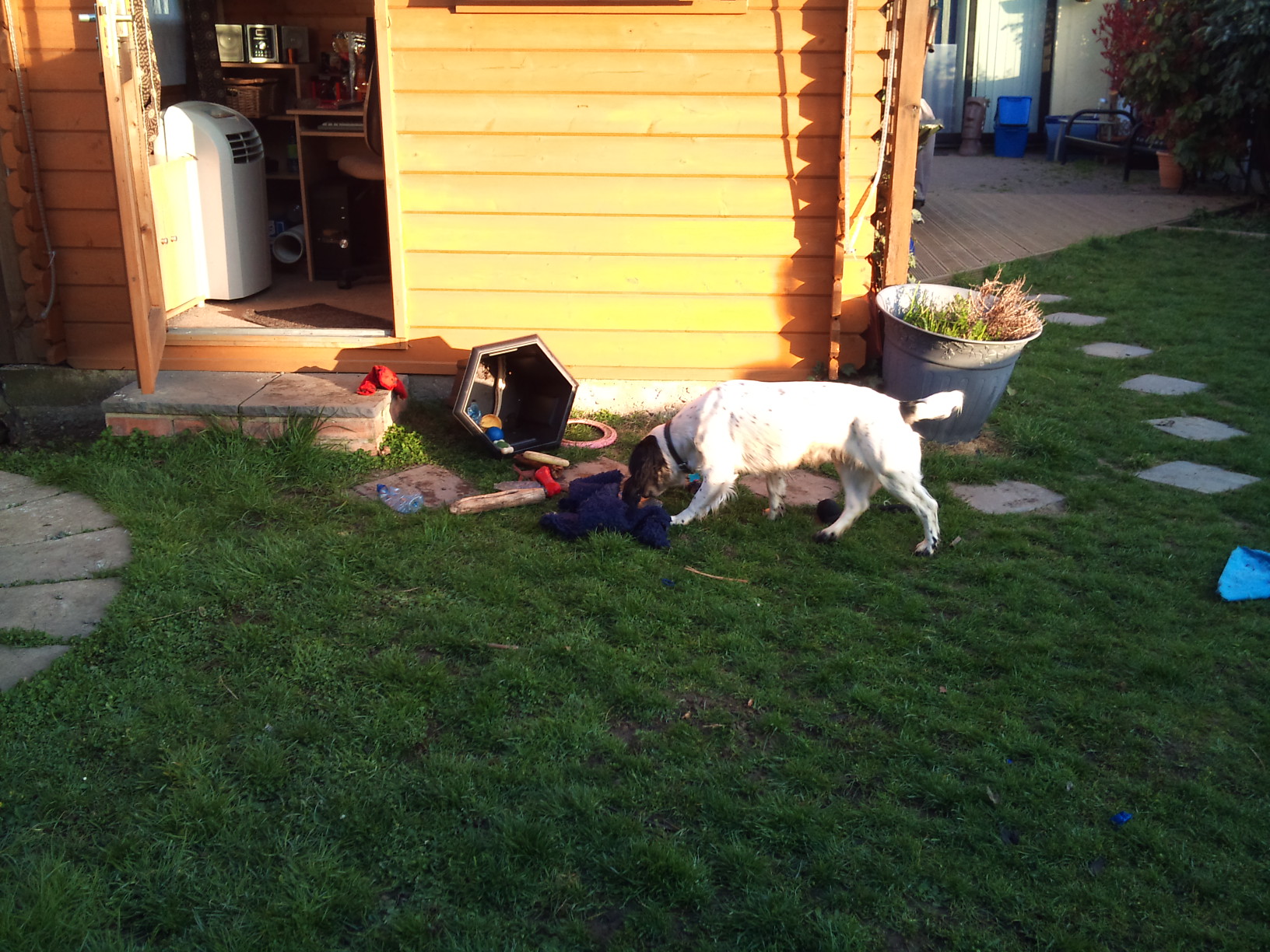 28/3/12 I want my blankie