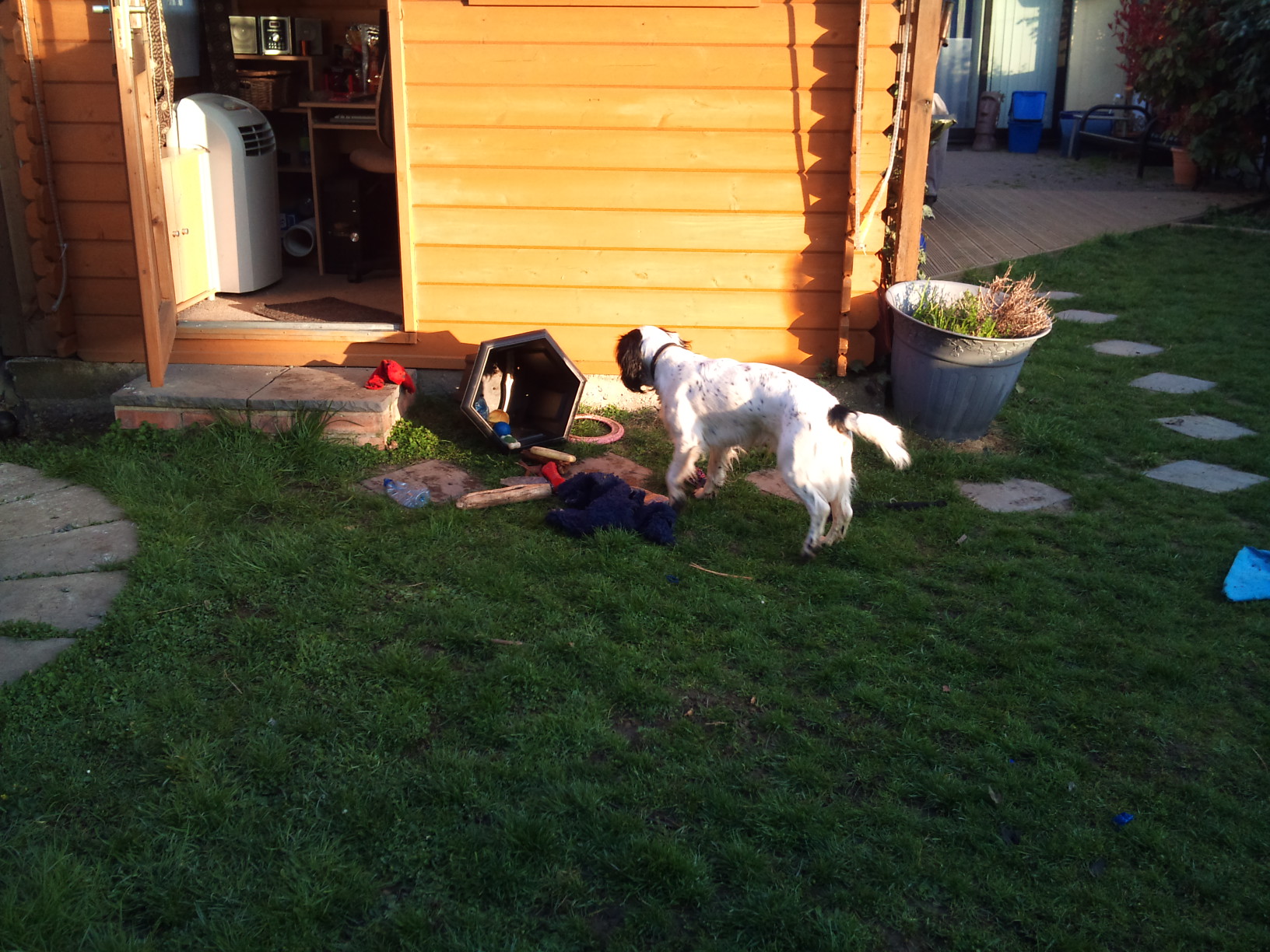 28/3/12 What's in the tub?