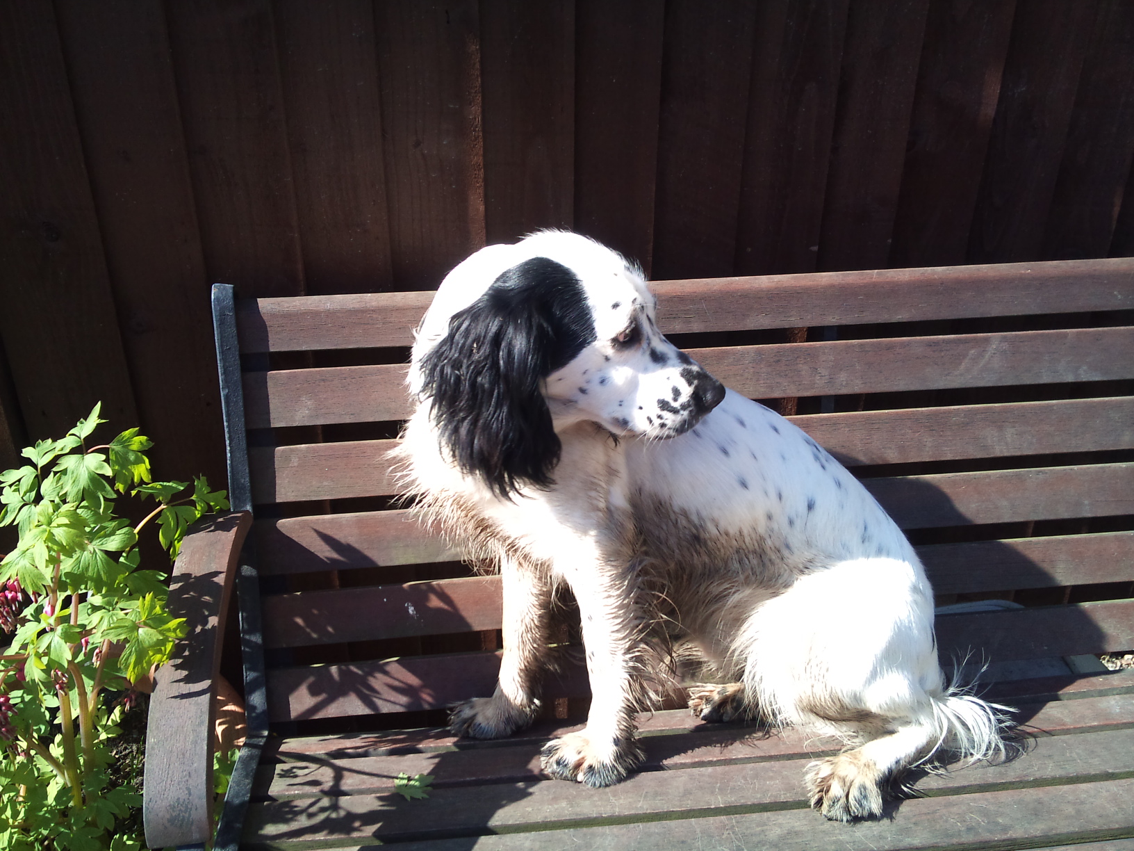 6/4/12 This is my best side