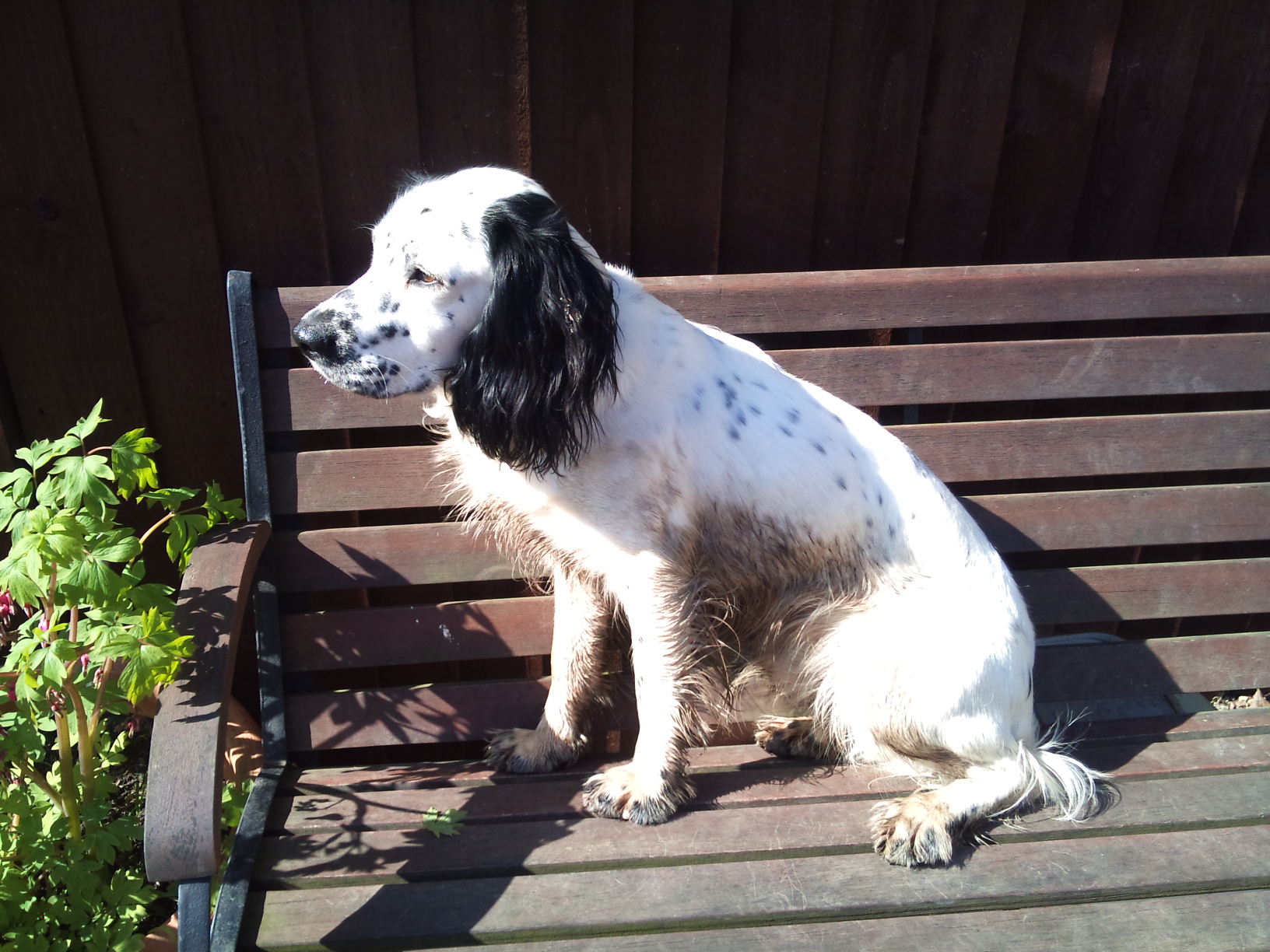 6/4/12 No, this is my best side