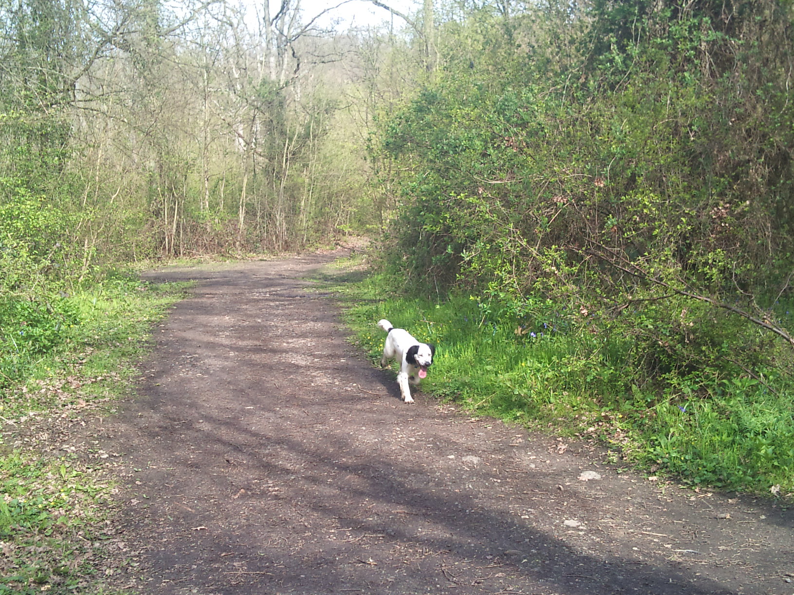 14/4/12 I do know how to use a path