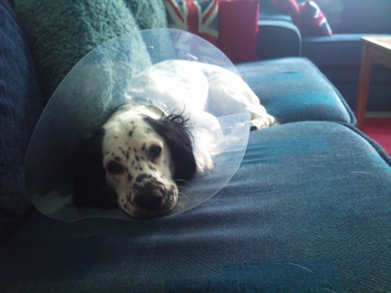 16/4/12 Where have they gone?