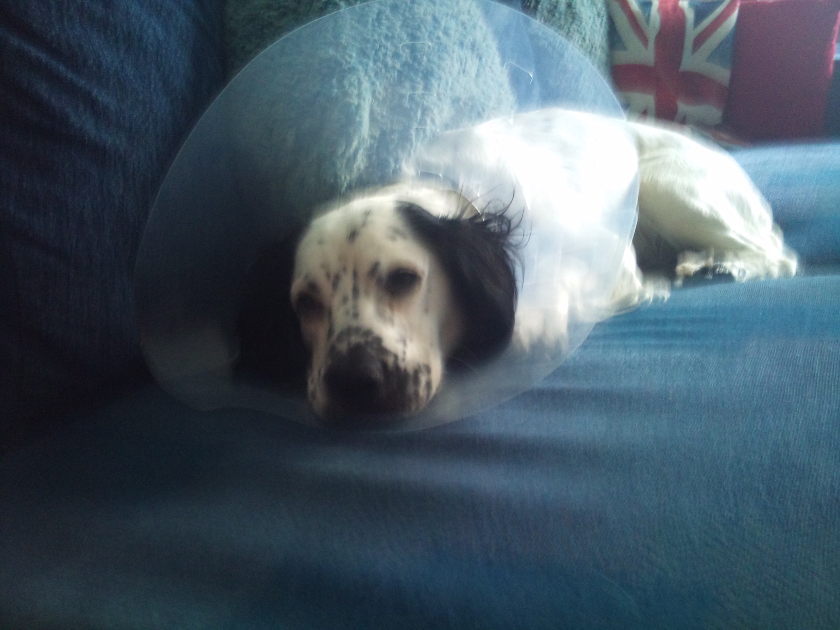 16/4/12 Don't like this lampshade