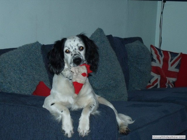 1/1/12 I think this toy is nearly dead