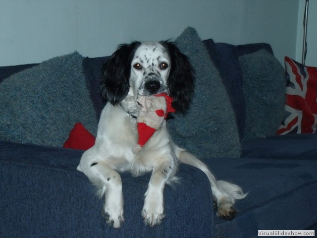 1/1/12 Yep, definately dead