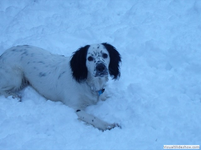 5/2/12 Mmmm snow, I love it!