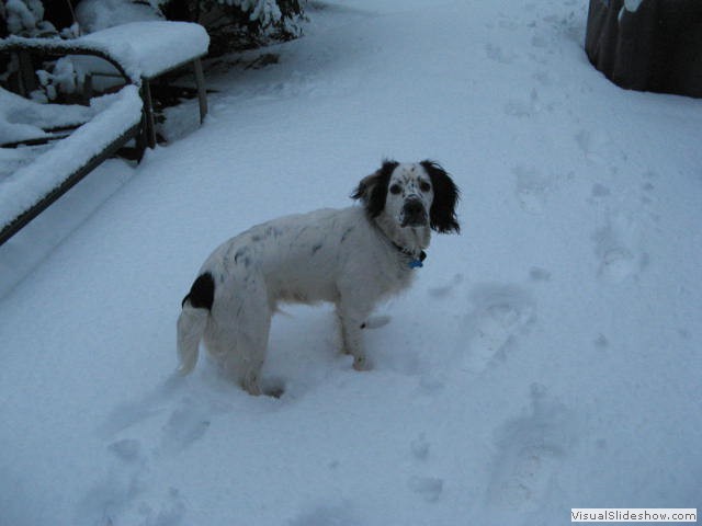 5/2/12 Let the trampling commence